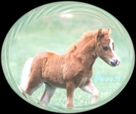 Foxfire