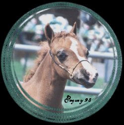 Foxfire Head