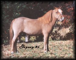 Bond Larkspur H